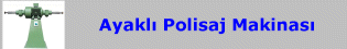 Ayaklı Polisaj Makinası (5.5 kW)
